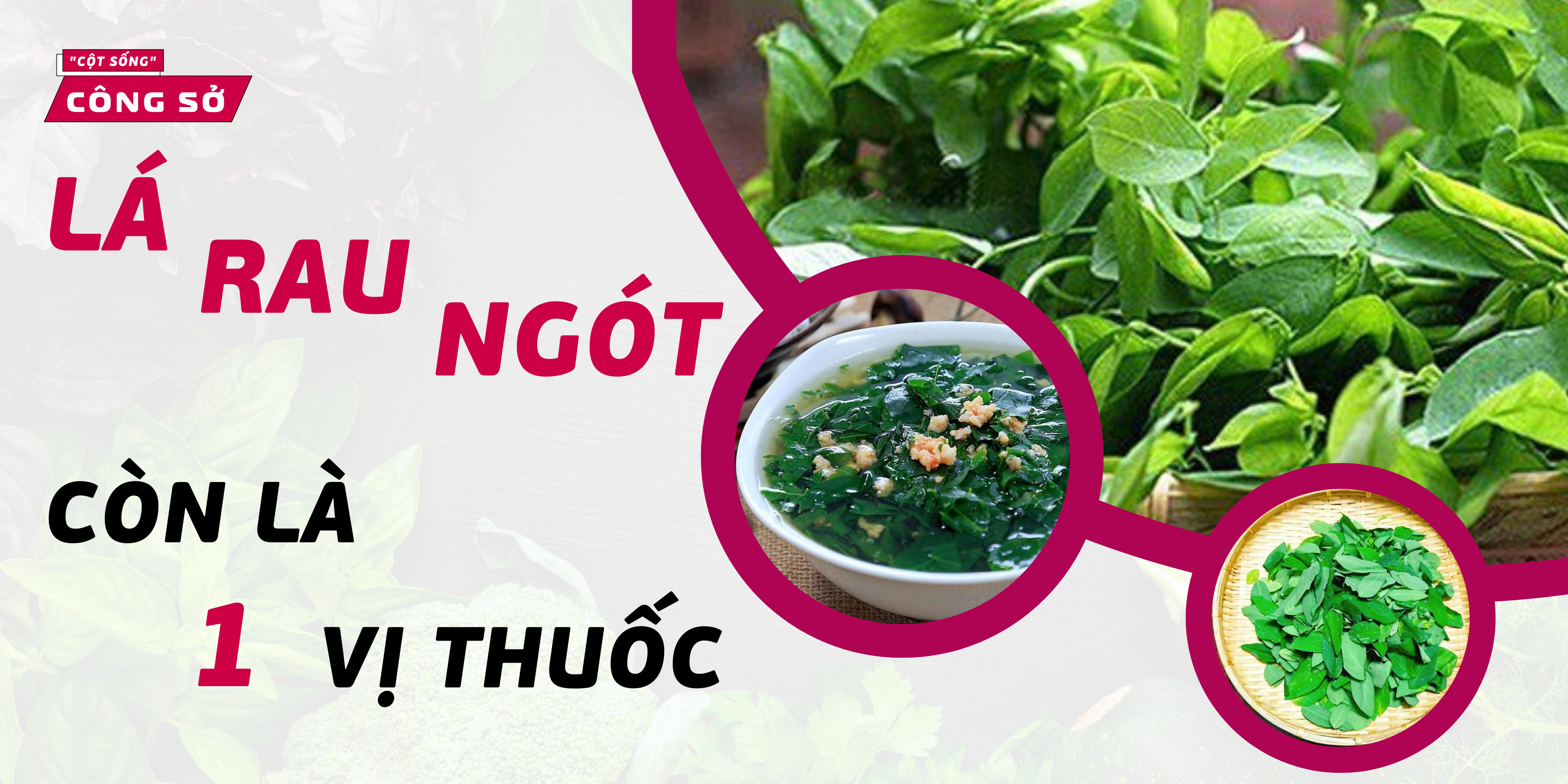 Lá rau ngót ngoài công dụng nấu canh, còn là một vị thuốc nhân dân